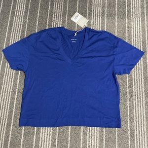 Everlane v neck boxy tee